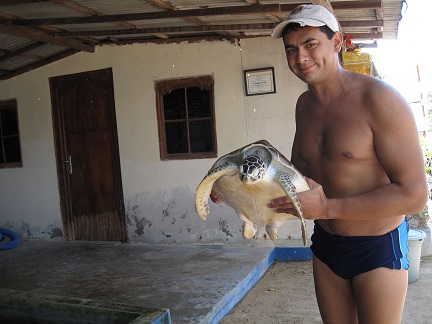 Turtle Farm