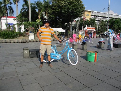 Rental bikes