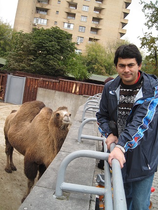 Camel