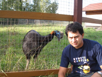 Unknown bird