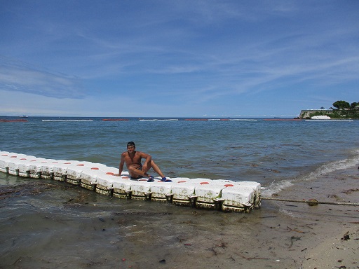 Beach sea border
